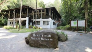 Bukit Timah Nature Reserve